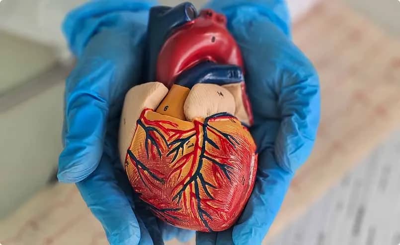 Private Cardiology Services in Coventry